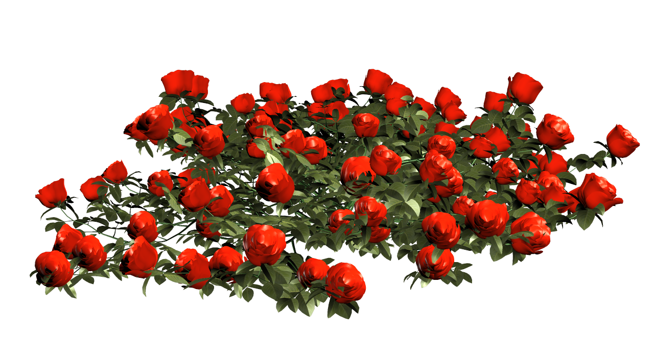 flowers1.png